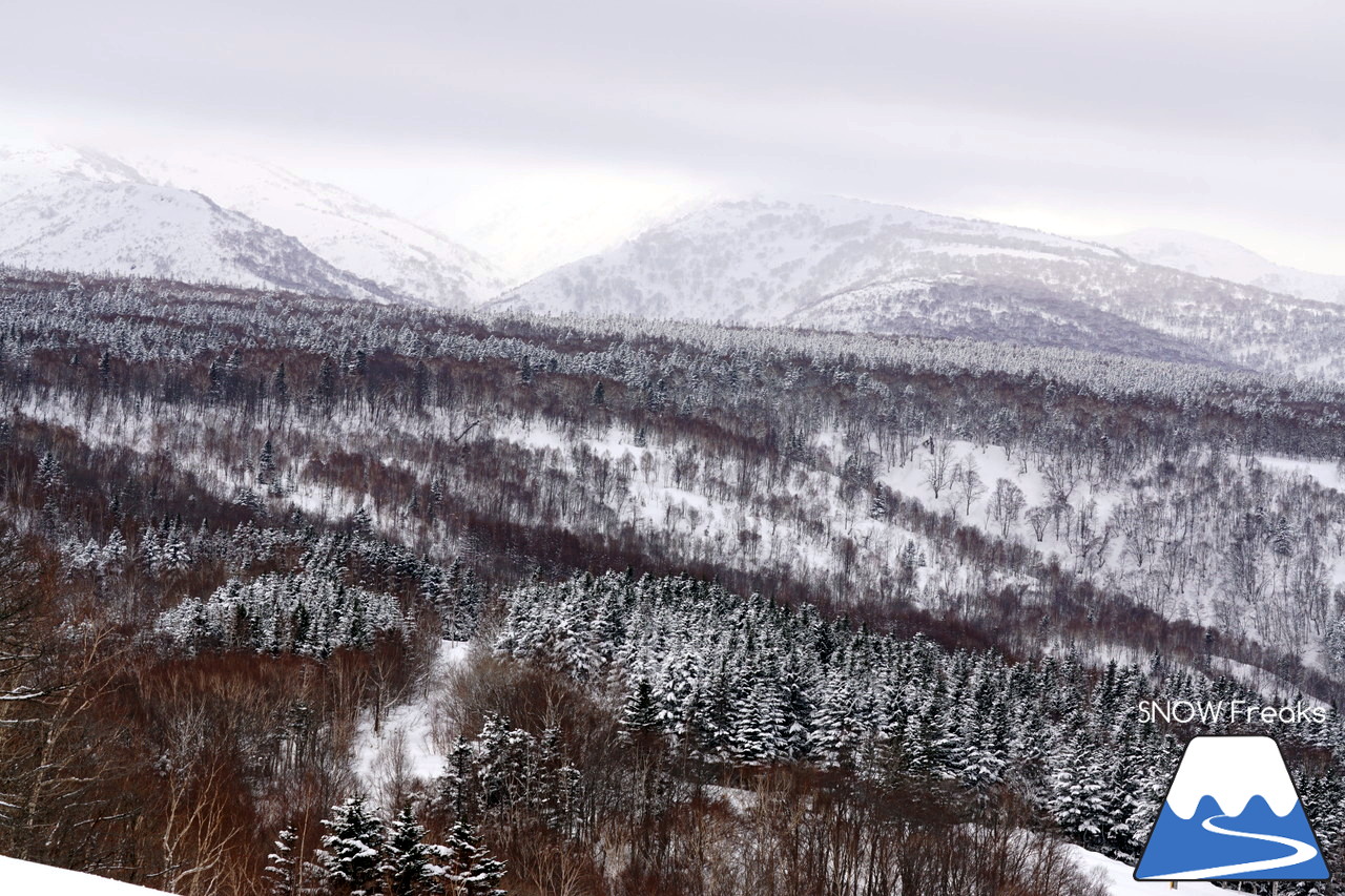 暑寒別岳スキー場 増毛町民に愛される大自然の中のパウダースノーゲレンデ！
